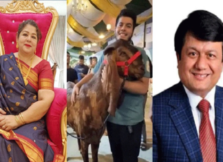ছাগলকাণ্ডে আলোচিত এনবিআর সদস্য মতিউর স্ত্রীসহ গ্রেফতার এনবিআর সদস্য মতিউর রহমান