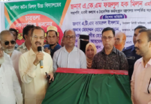শিক্ষার পরিবেশ উন্নয়নে কালীগঞ্জে ৫ বিদ্যালয়ে নতুন ভবন